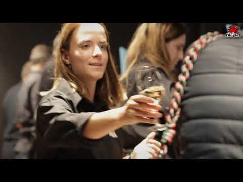 Impressionen zum Spiel EHC Visp - Ajoie