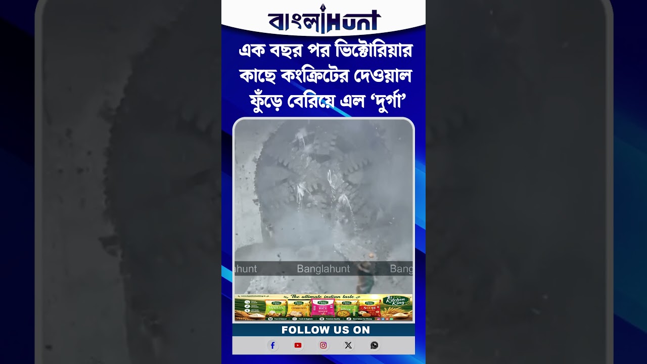 এক বছর পর ভিক্টোরিয়ার কাছে কংক্রিটের দেওয়াল ফুঁড়ে বেরিয়ে এল ‘দুর্গা’