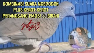 Download lagu Perangsang Emosi dan Birahi _ Kombinasi Suara Ngedodok Plus Kerot Kerot MP3 mp3 Download lagu Perangsang Emosi dan Birahi _ Kombinasi Suara Ngedodok Plus Kerot Kerot MP3 mp3