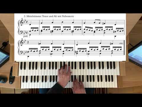 Orgelspiel im Gottesdienst - Choraltrios auf der Basis des vierstimmigen Satzes