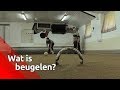 Ad en Jo hebben een heuse beugelbaan in de schuur