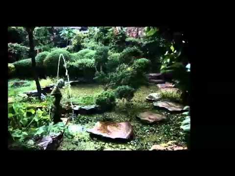 Shepstone Gardens: South Africa's most alluring boutique corporate & private venue