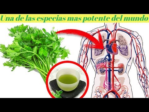 Combate toda las enfermedades de tu cuerpo con perejil-Una de las 7 especias mas potente del mundo.