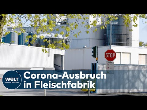 KREIS STEINBURG: Schlachthof von Bad Bramstedt wird zum Corona-Seuchenherd