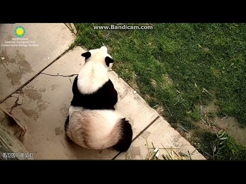 2017.05.12 MOM SEARCHING FOR SOMETHING