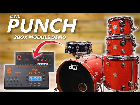 PUNCH for 2Box DrumIt 3, 5 MKII & MKI | New Instruments with Multi-layer Samples & Custom Kits