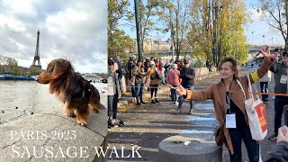 しめ散歩パリ編