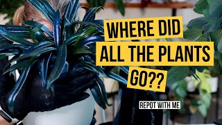 Winter Repot! | Fitness, Wishlist and Shop Talk!