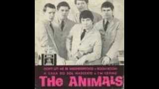 ANIMALS-COLOURED RAIN
