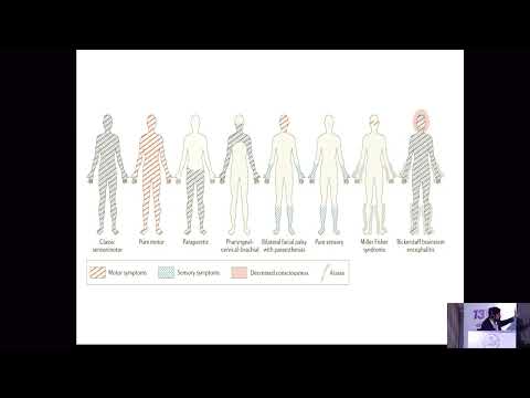 Peripheral Neuropathy: Approach and Recent advances | Dr. Chetan Kumar A