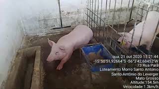 Miniatura do vídeo