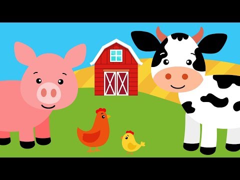 Bajki o zwierzętach dla dzieci | Pikuś i Mruczek