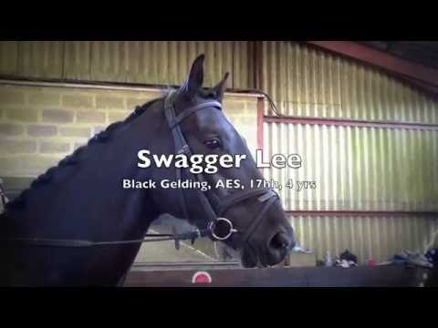 Swagger Lee - FOR SALE