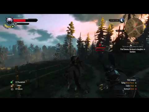 The Witcher 3: Medieval Day Outlaw