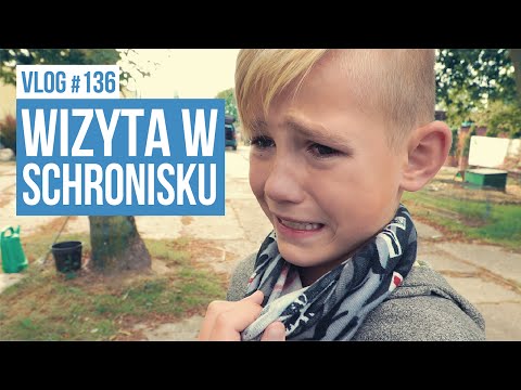 Grób kamień na palcu Żel podtrzymujący koślawego pro kupić w Petersburgu