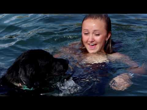 T.Chrisp- Summer Love (Feat. Mitchell) OFFICIAL