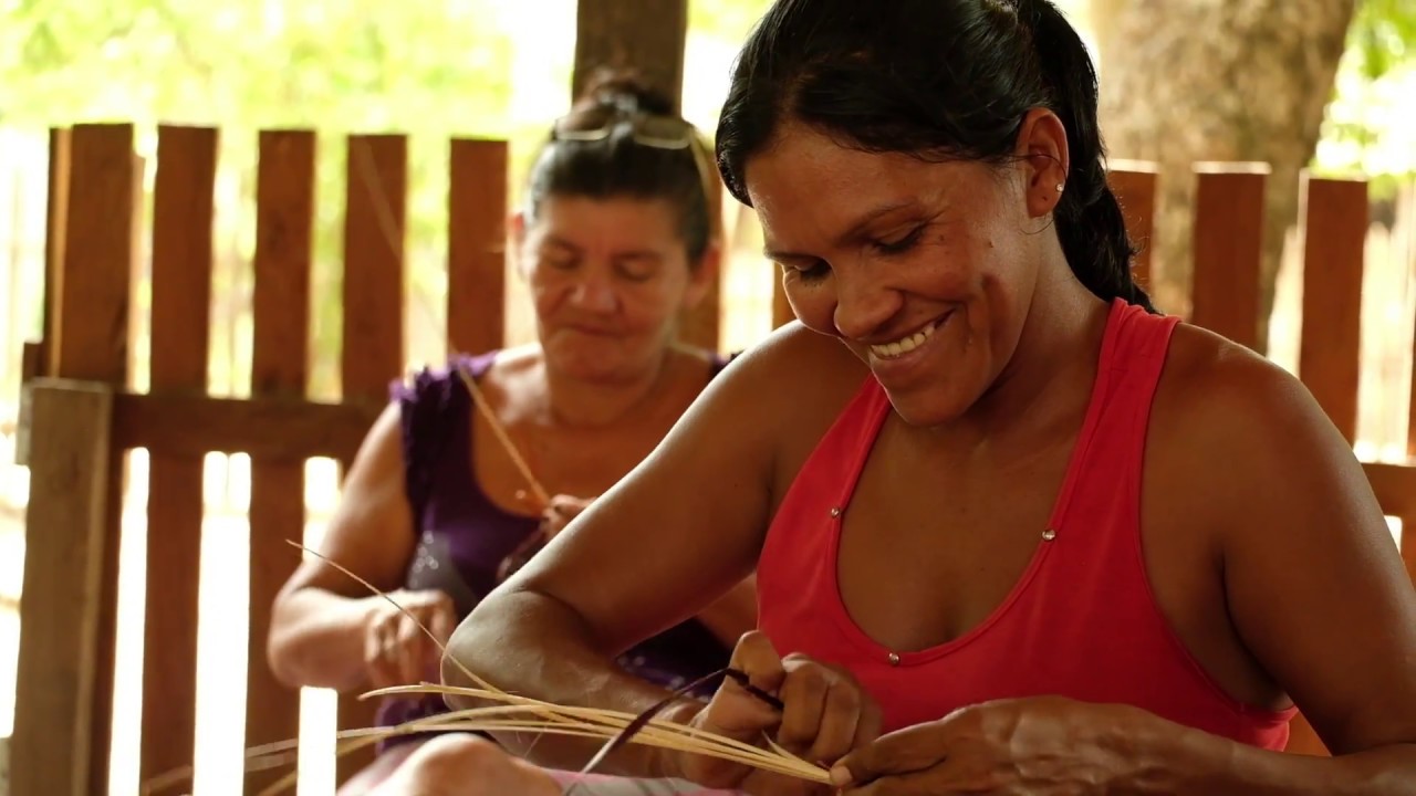 O Valor das Unidades de Conservação para a Sociedade Brasileira