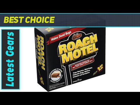 Blackflag Roach Motel: Effective Roach Trap?