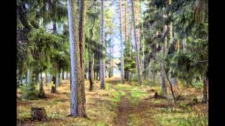 Иркутская ИСТОРИЯ -песня в исполнении А.Маршала