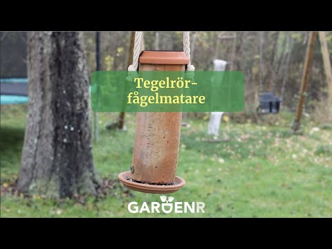 Tegelrörfågelmatare - Trädgårdshacks med GardenR
