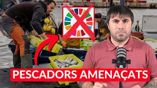 ALERTA: Catalunya es pot quedar SENSE PEIX per NADAL per culpa de la Unió Europea