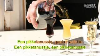 Karaoke HD &quot;Een Pikketanussie&quot; (Johnny Jordaan)