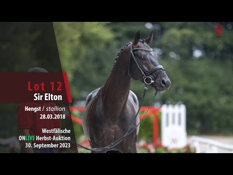 ONLIVE Herbst-Auktion Lot 12 Sir Elton Hengst v. Sir Donnerhall I - Totilas