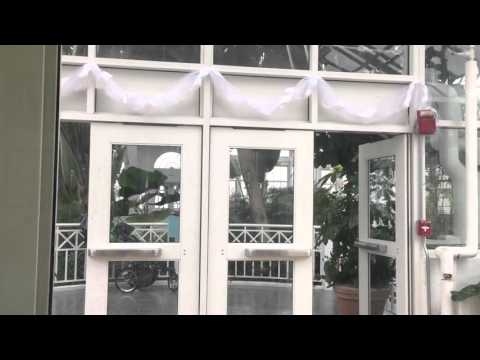 Scenic Thyssenkrupp arrora elevator at the Franklin park conservatory