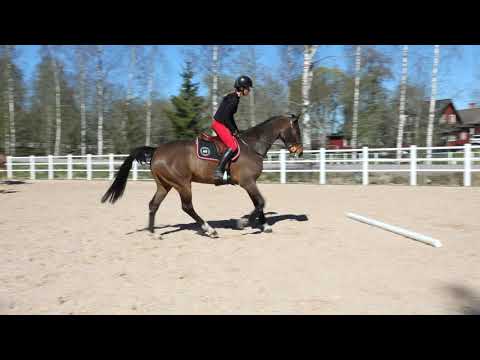 At Home With Malin Baryard