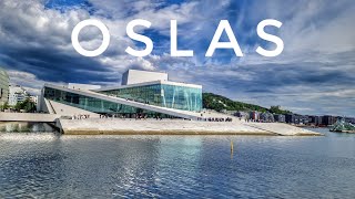 Oslas - trumpas pasivaikščiojimas