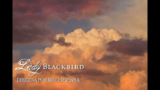 #regalaunainspiracion Partida 5: Lady Blackbird PT.1 - Dirigida por Sirio Sesenra-