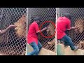 Damn Nature You Scary Rare Scary Animal Encounters 16