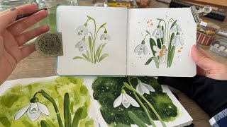 Painting snowdrops πΈ A watercolor exploration & botanical study