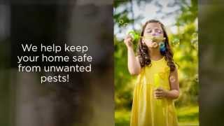 Portland Pest control Bees wasps Hornets yellow jackets & Honeybees