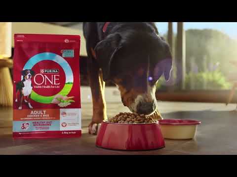 NEW PURINA ONE® Dry Dog Food. Advanced tailored nutrition for dogs.