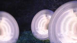 The Gentlemen Losers - Honey Bunch (Late Night Tales: Nils Frahm)