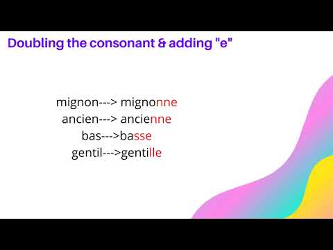 French Adjectives Rules : Masculine to Feminine | Learn French via Tamil