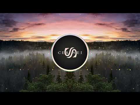 Set On The Prize (Wize Mix) - Ceeryl & Lo-Fi Sugar