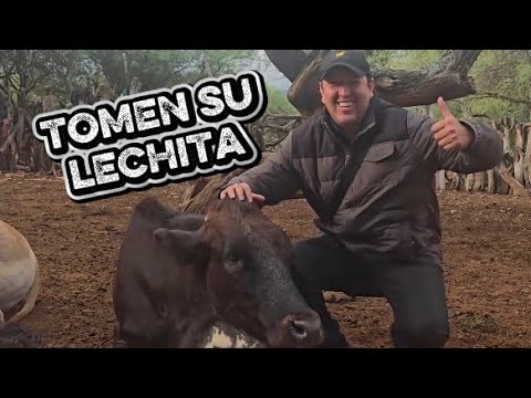 Pasorapa, orgullo ganadero de Cochabamba