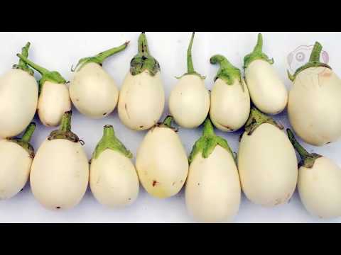Cosa mangiare per aumentare il suo pene Herbalife limpotenza