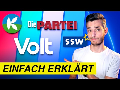 4 kleine Parteien einfach erklärt (Volt, Die Partei & Co.) | Wahlprogramme Bundestagswahl
