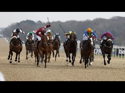 【DEAUVILLE】 FRANCE HORSE RACE ANALYSIS
