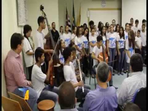 Insituição Aparecido Savegnago - Casa da Cidadania (2014)