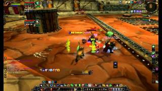 Hotforms #7, Feral Druid Arena Commentary