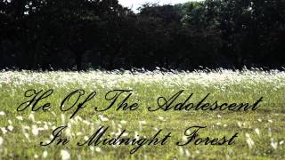 He Of The Adolescent - For You (new version)