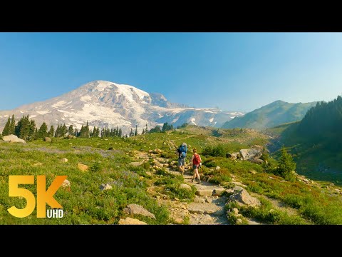 Sunny Summer Day Virtual Walk to Panorama Point, Mt Rainier - 5K Hike with Mountain Views (2 HRS)