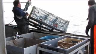 preview picture of video 'Lobster fishing 5 miles off of Yarmouth Nova Scotia'