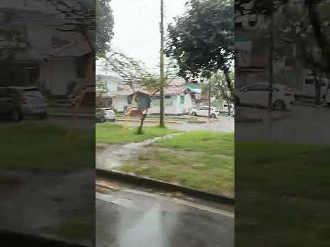 Palmira, Valle Del Cauca