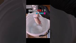 【水圧脱気】釣ったイカの鮮度を落とさない！ピタッと冷凍パックの使い方 #shorts