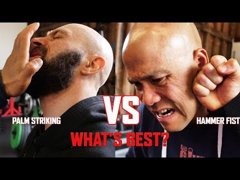 Palm striking VS Hammer Fists in Self defence combat which one is more effective? Master Wong